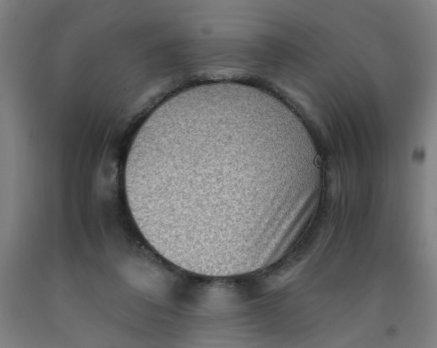 X0000091960308200709271352