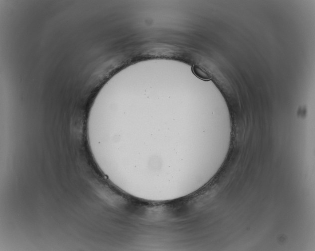 X0000091960309200709271352