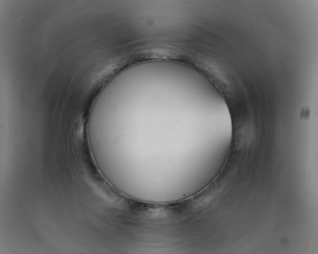 X0000091960310200709271352