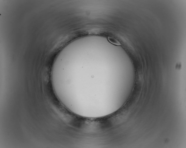 X0000091960311200709271352