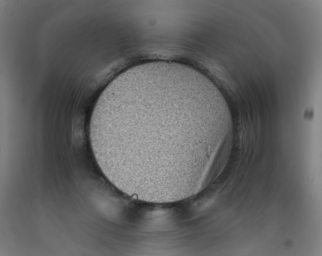 X0000091960312200709271352