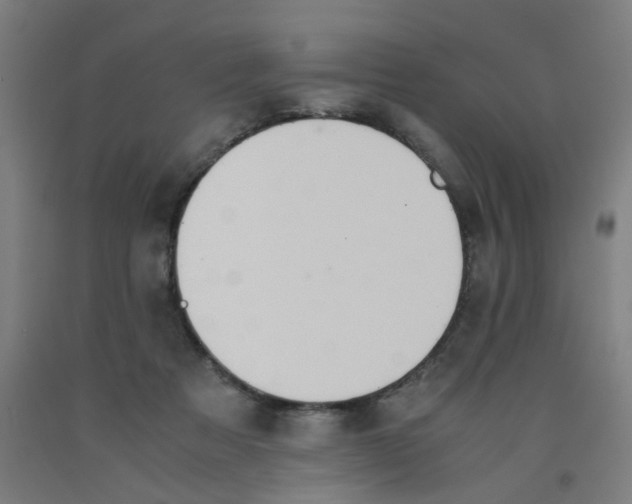 X0000091960313200709271352