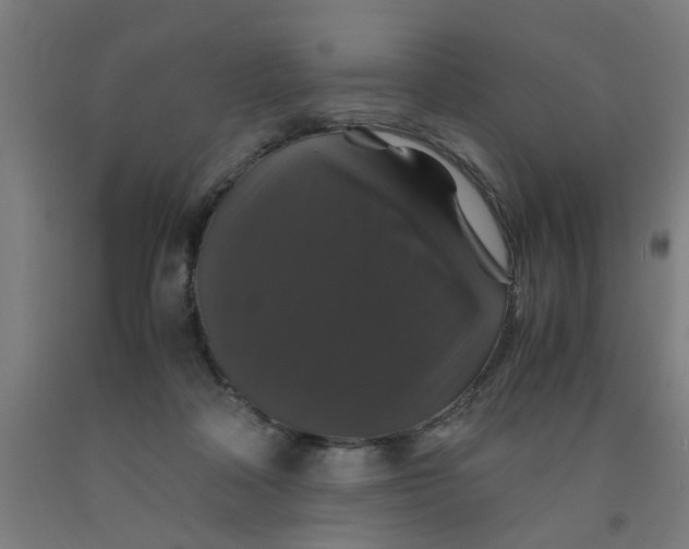 X0000091960314200709271352