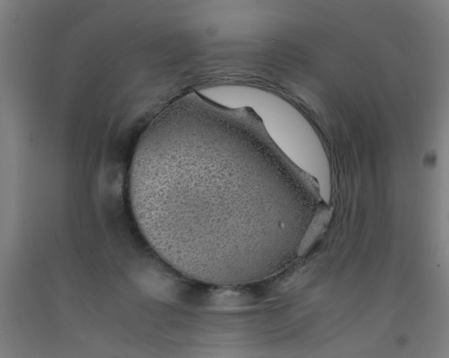 X0000091960315200709271352