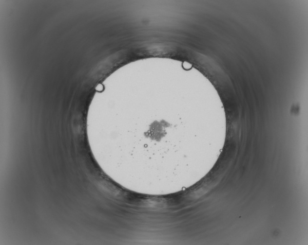 X0000091960317200709271352