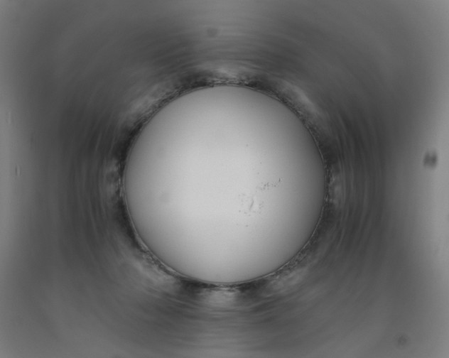 X0000091960318200709271352