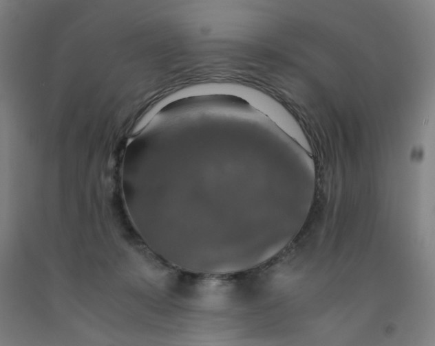 X0000091960319200709271352