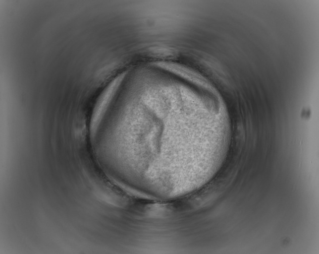 X0000091960320200709271352