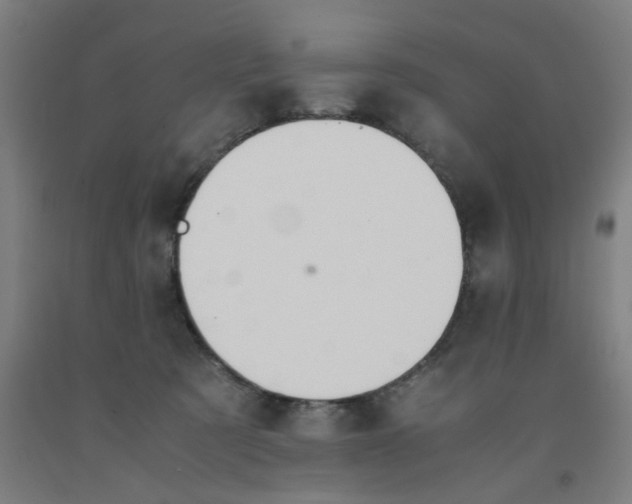 X0000091960321200709271352