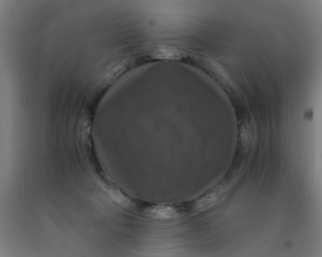 X0000091960322200709271352