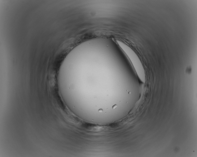 X0000091960323200709271352