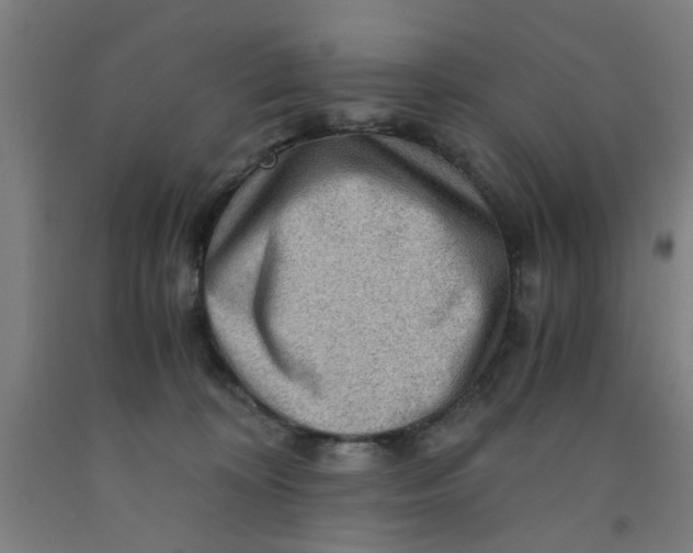 X0000091960324200709271352