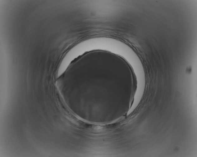 X0000091960325200709271352