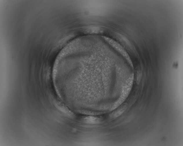 X0000091960326200709271352