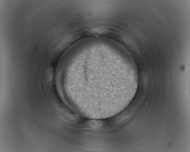 X0000091960328200709271352