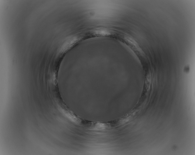 X0000091960330200709271351