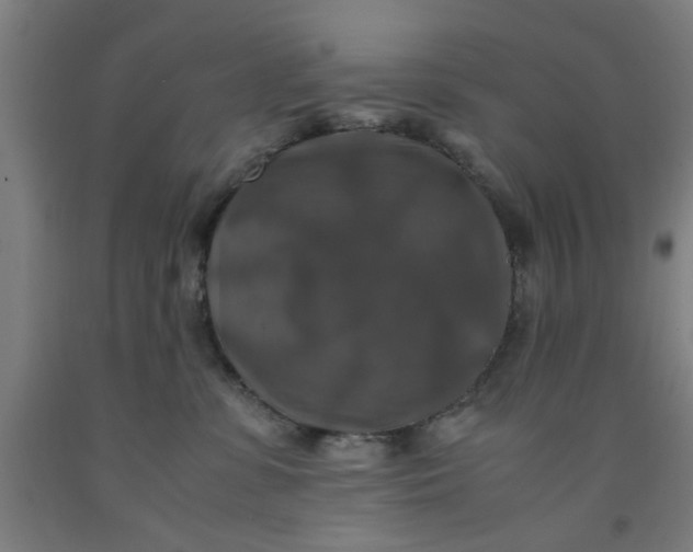 X0000091960331200709271351