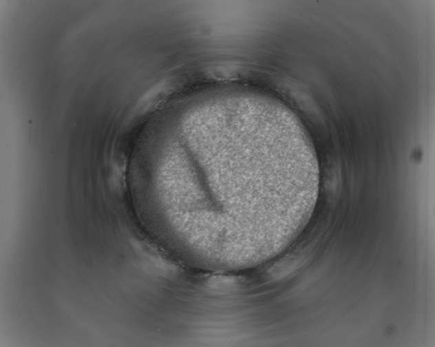 X0000091960332200709271351