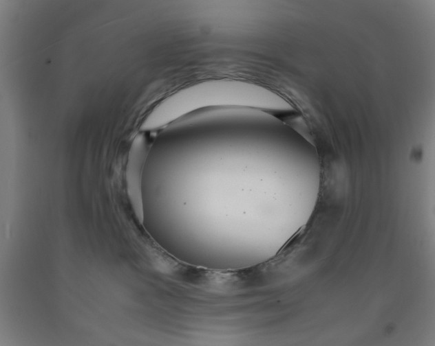 X0000091960333200709271351