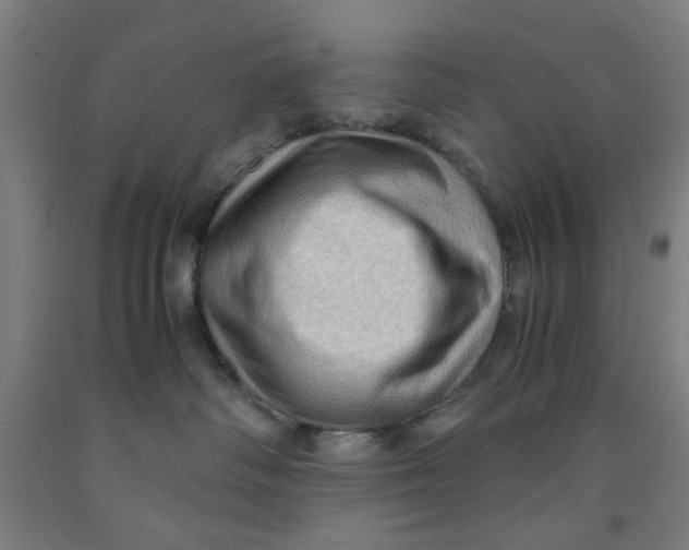 X0000091960334200709271351