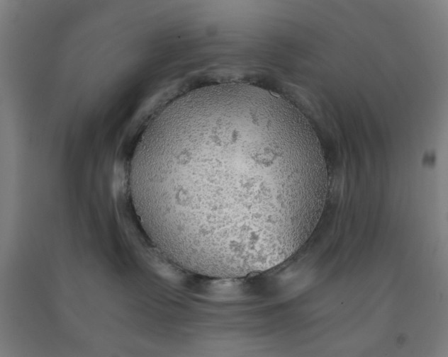 X0000091960335200709271351