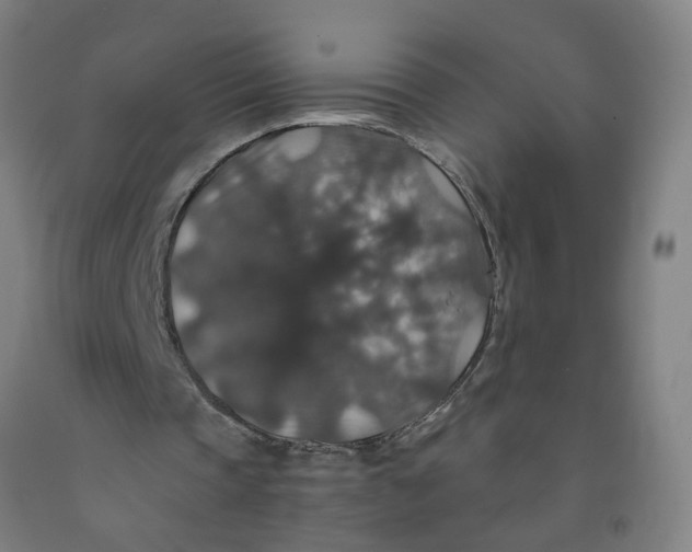 X0000091960337200709271351