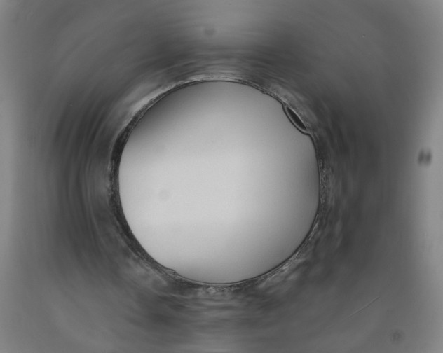 X0000091960338200709271351