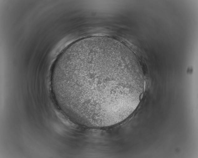 X0000091960339200709271351