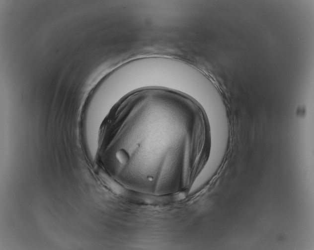 X0000091960340200709271351