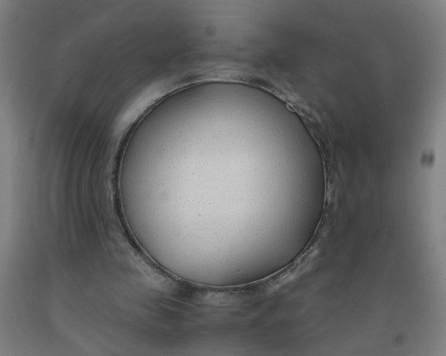 X0000091960341200709271351