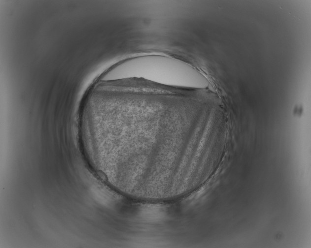 X0000091960342200709271351