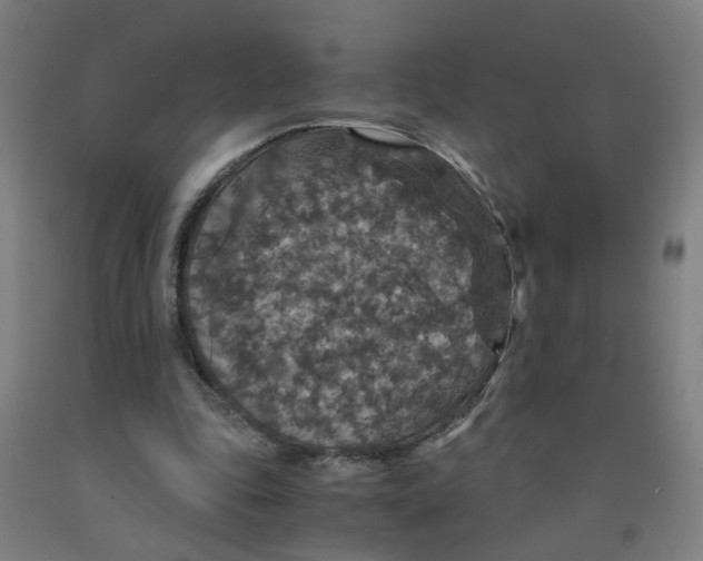 X0000091960343200709271351