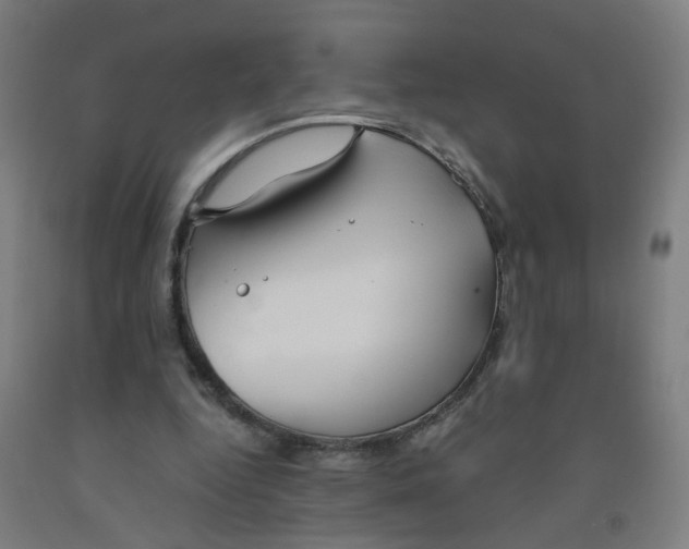 X0000091960344200709271351