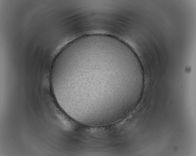 X0000091960345200709271351