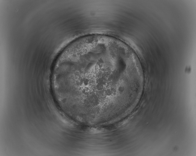 X0000091960346200709271351