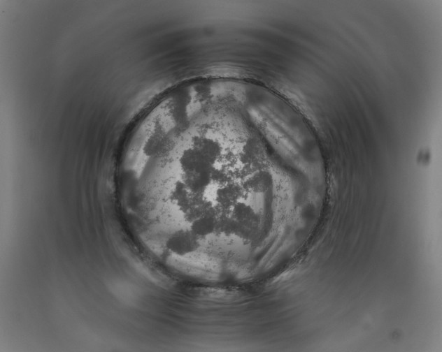 X0000091960347200709271351