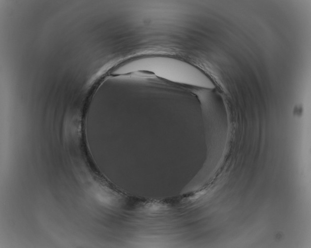 X0000091960348200709271351