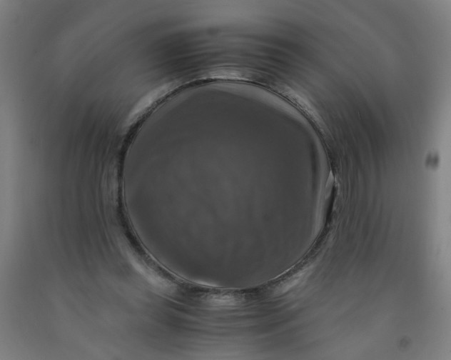 X0000091960349200709271351