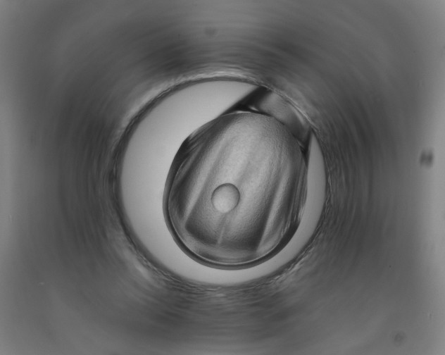 X0000091960350200709271351