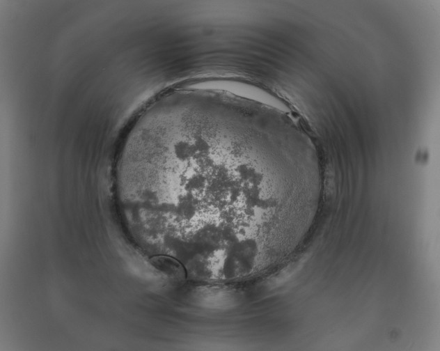 X0000091960351200709271351