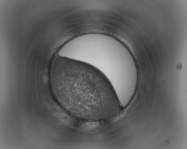 X0000091960353200709271351