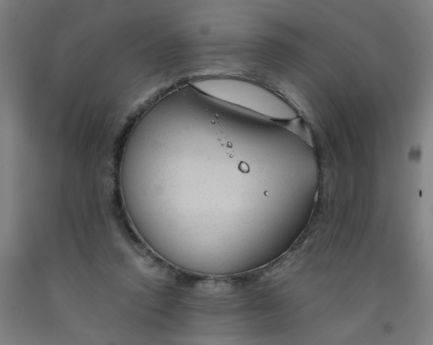 X0000091960354200709271351