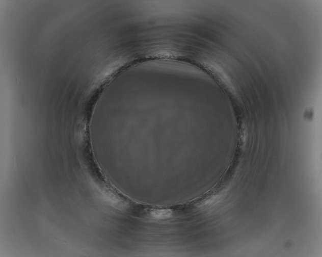 X0000091960355200709271351