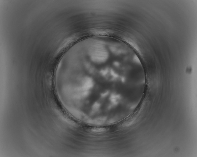 X0000091960357200709271351