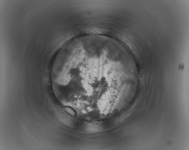 X0000091960359200709271351