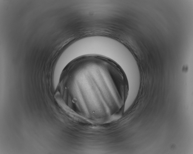 X0000091960360200709271351