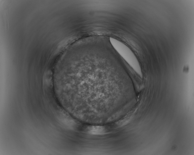 X0000091960361200709271351