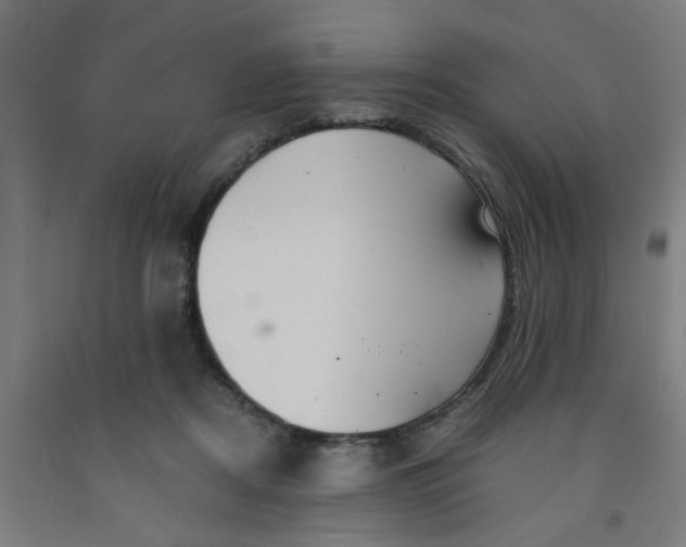 X0000091960362200709271351