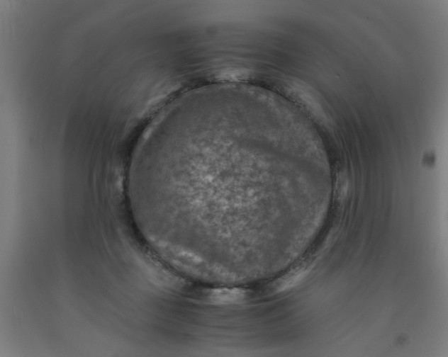 X0000091960363200709271351