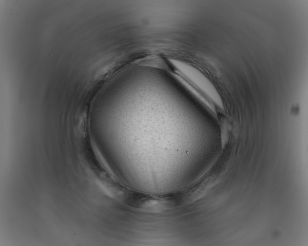 X0000091960364200709271351